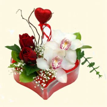  Düzce çiçek gönderme  1 kandil orkide 5 adet kirmizi gül mika kalp