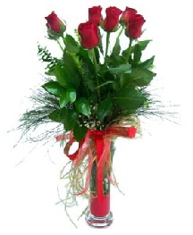 vazo içerisinde 5 kırmızı gül  Düzce hediye çiçek yolla 