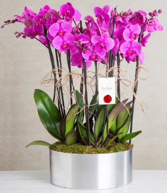 11 dall mor orkide metal vazoda  Dzce internetten iek siparii 