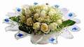 cam günes ve dolunay bembeyaz  Düzce uluslararası çiçek gönderme 