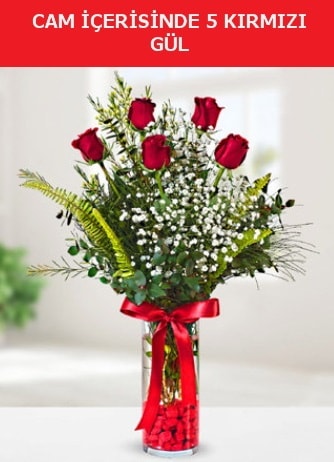 Cam içerisinde 5 adet kırmızı gül  Düzce çiçek online çiçek siparişi 